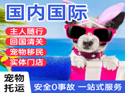 唐山机场货运国际宠物托运 【国